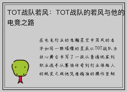 TOT战队若风：TOT战队的若风与他的电竞之路